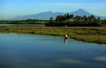 Kegiatan pagi hari