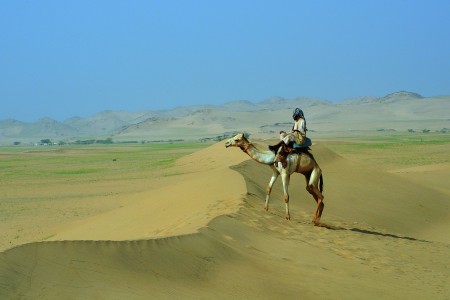 The Desert Traveller