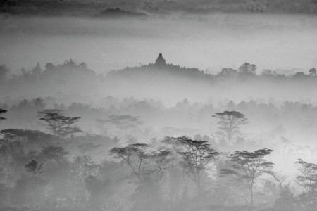 Misty Morning of Borobudur