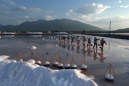 Salt harvest time