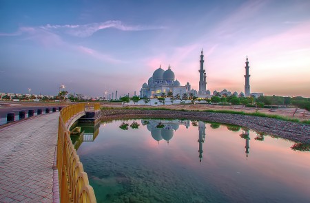 The Morning Reflection