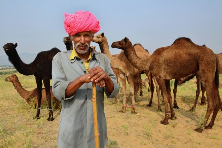 Camel Traders