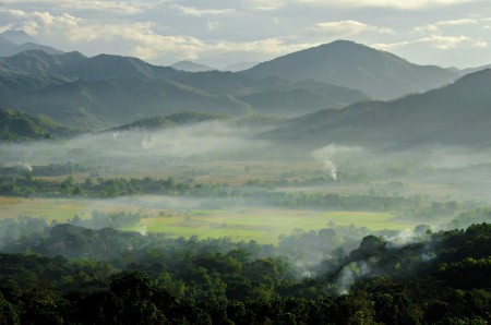 Morning Mist
