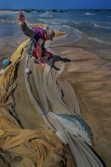 Fisherman