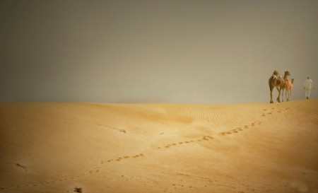 Crossing the Desert