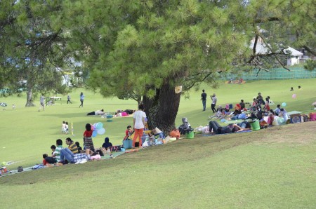 piknik