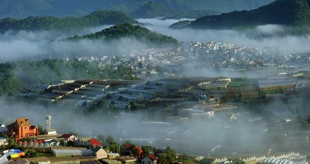 thanh pho trong suong