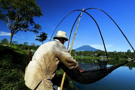 pencari udang