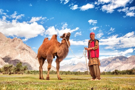 Camel Lady