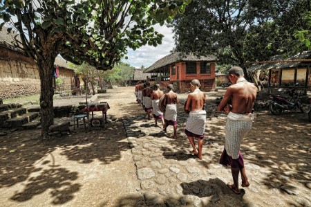 Growing Mature Procession