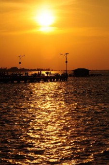 Golden eye