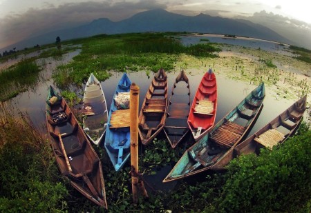 Boats Terminal