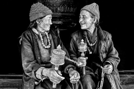 Camaraderie