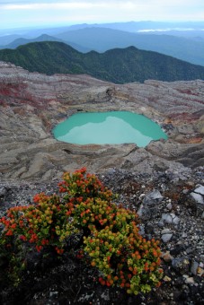 Cantigi plants and crater Dempo