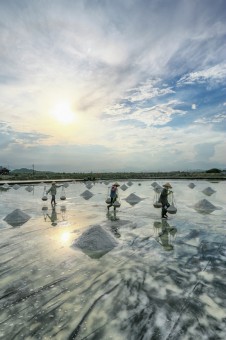 salt field
