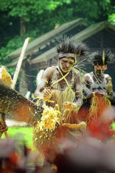 Sagu & Patung Papua