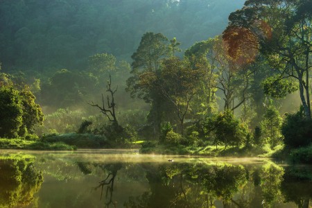 morning at situ gunung