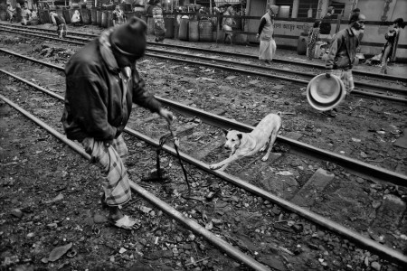 relation between man and dog