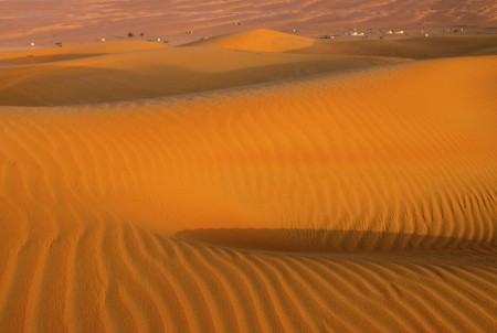 Beauty in the desert