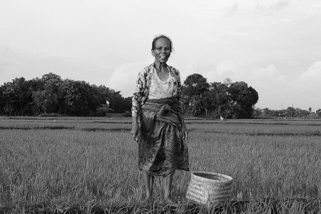 Ibu Petani