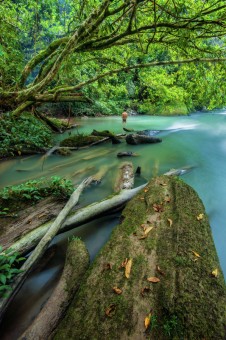 United With Nature