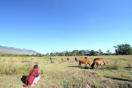 menunggu
