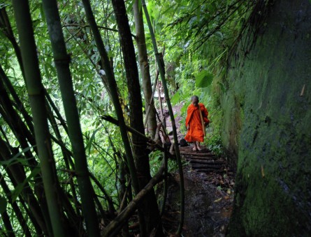 Lonely young Monk