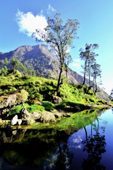 the beautiful of rinjani mountain