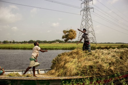 Bumper production !!!