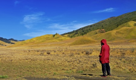 Red Riding Hood