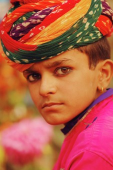 The rajput