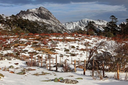 Snow Land