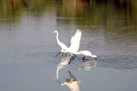 Fishing