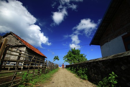 Land of Moyo