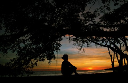 menyambut senja