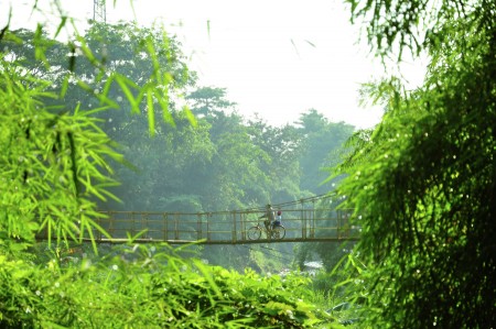 pursue a suspension bridge