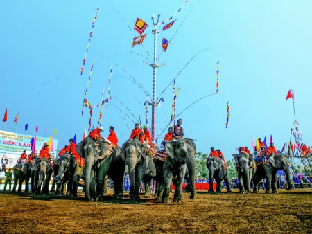FESTIVAL ELEPHANT