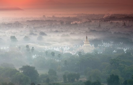 Misty morning