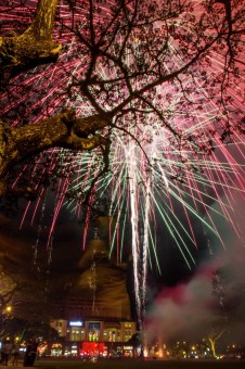 Chap Goh Meh fireworks