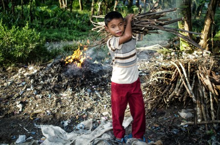 Pencari Kayu Bakar