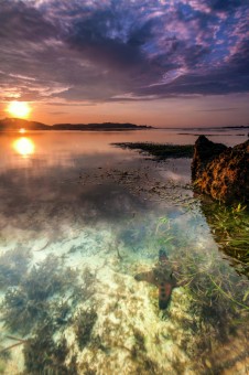 Shine the hidden starfish