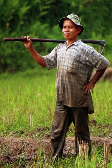 Senyum manis pak tani