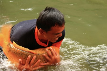 Menangkap Ikan Mas