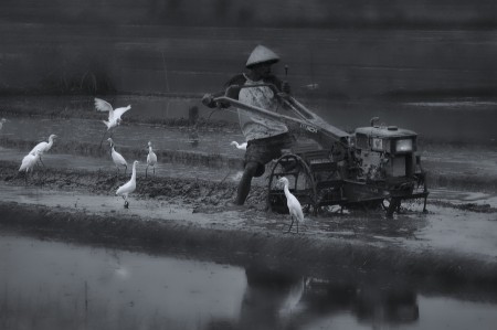 farmer and bird
