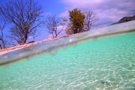 Turquoise