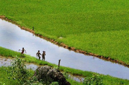 saatnya pulang