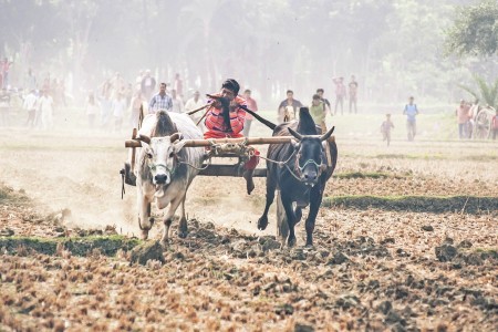Rural Cart Race