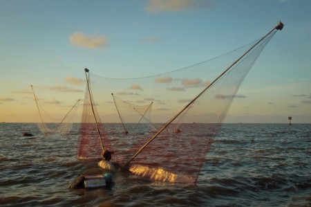 Fish catching in the early morning