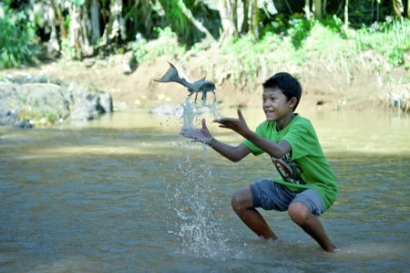 fish toss