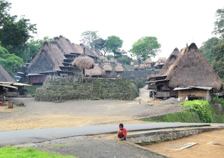 Bena Traditional Village